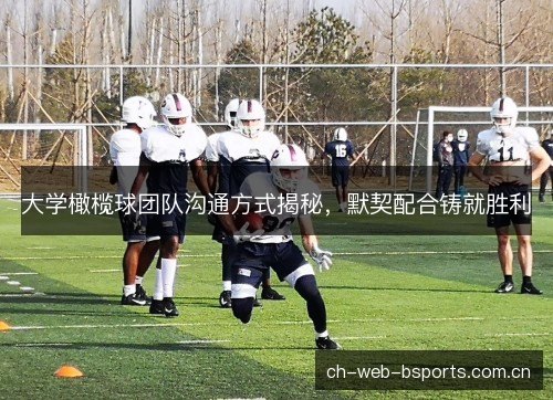 大学橄榄球团队沟通方式揭秘，默契配合铸就胜利